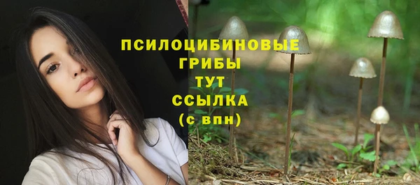ПСИЛОЦИБИНОВЫЕ ГРИБЫ Магадан