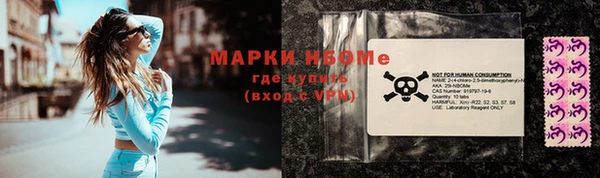 прущие грибы Магас