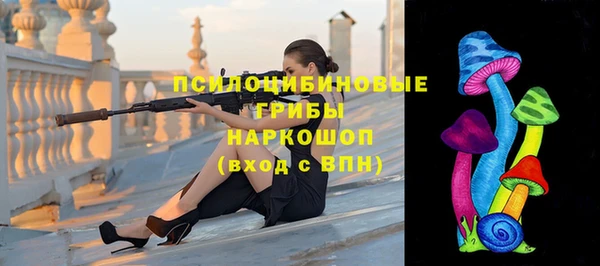 ПСИЛОЦИБИНОВЫЕ ГРИБЫ Магадан