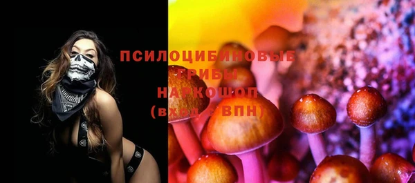 ПСИЛОЦИБИНОВЫЕ ГРИБЫ Магадан