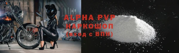 прущие грибы Магас