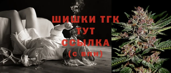 гидра Липки