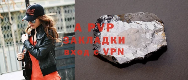прущие грибы Магас