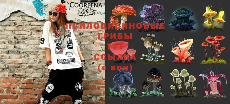 Псилоцибиновые грибы MAGIC MUSHROOMS  Приволжск 